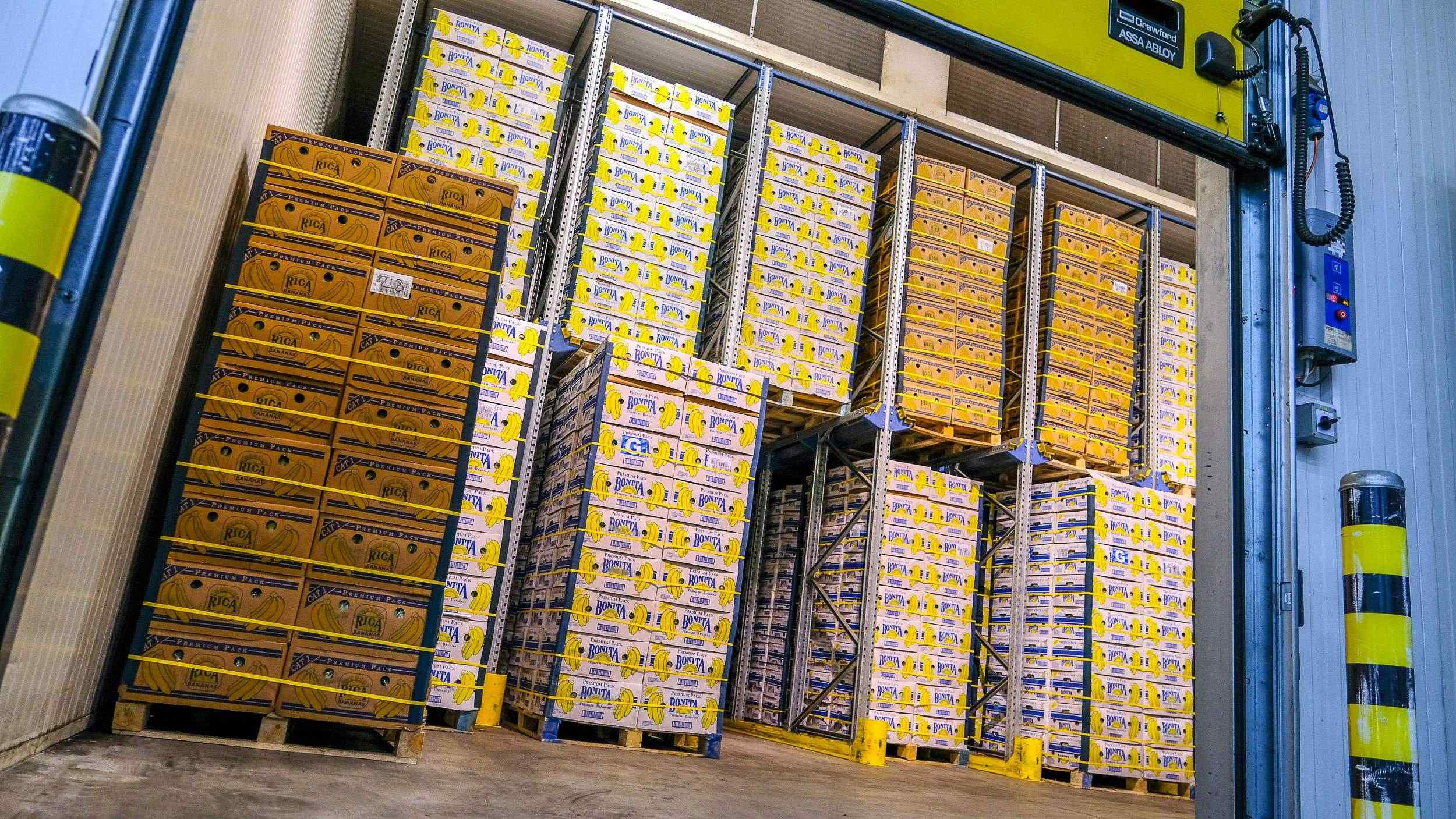 Zrionice banana